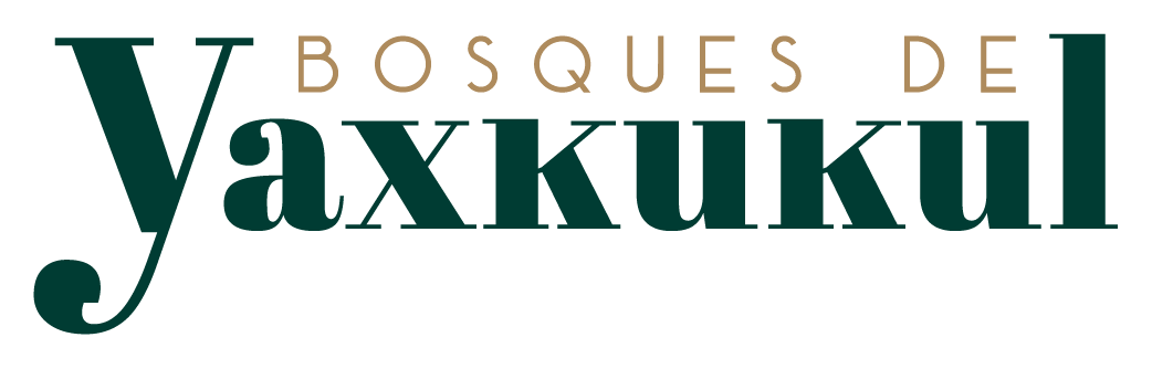 bosquesdeyaxkukul.com
